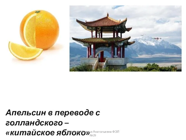 Апельсин в переводе с голландского – «китайское яблоко» Маркина Наталья Анатольевна ФЭЛ №29