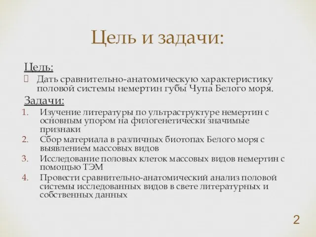 Цель: Дать сравнительно-анатомическую характеристику половой системы немертин губы Чупа Белого моря.