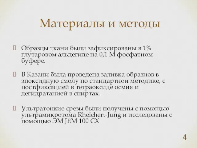 Образцы ткани были зафиксированы в 1% глутаровом альдегиде на 0,1 М