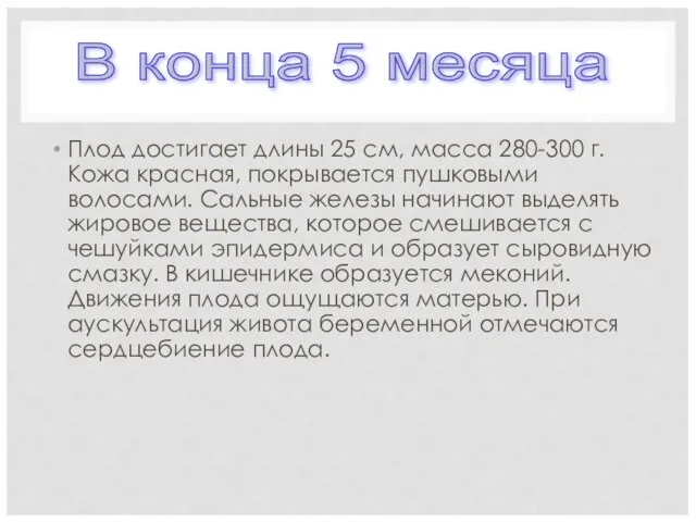 Плод достигает длины 25 см, масса 280-300 г. Кожа красная, покрывается