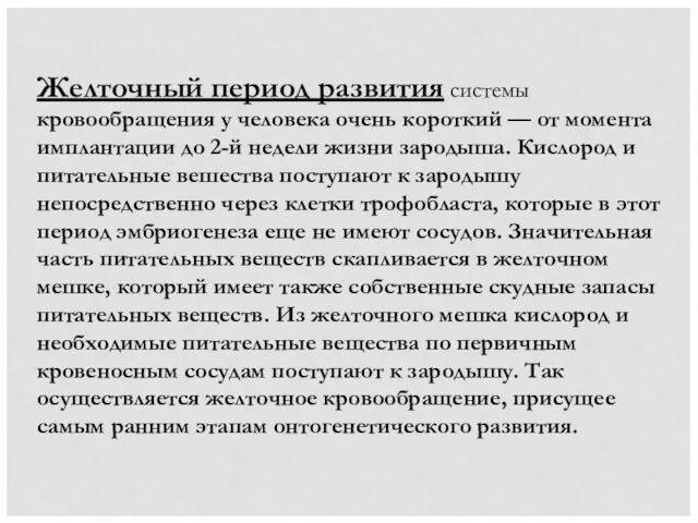 Желточный период развития системы кровообращения у человека очень короткий — от