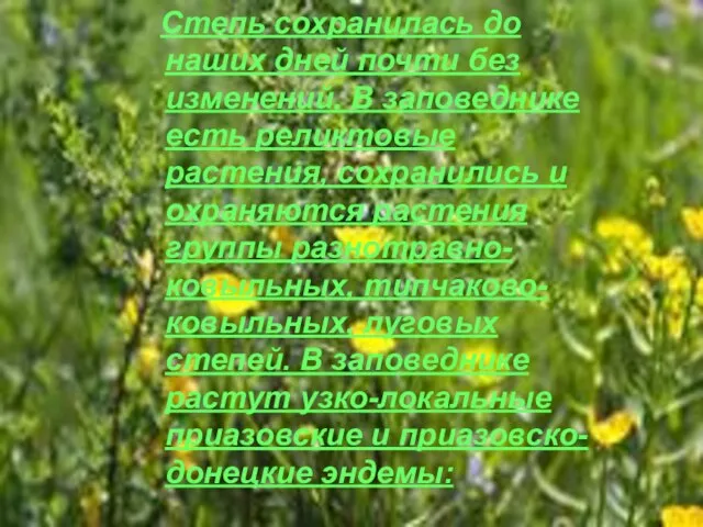 Степь сохранилась до наших дней почти без изменений. В заповеднике есть