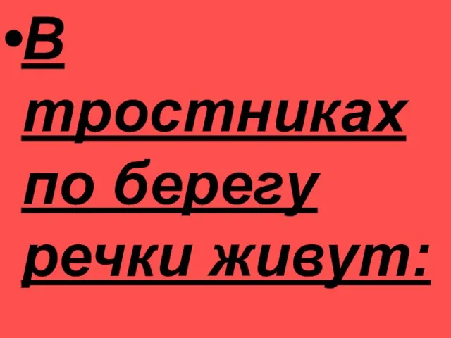 В тростниках по берегу речки живут: