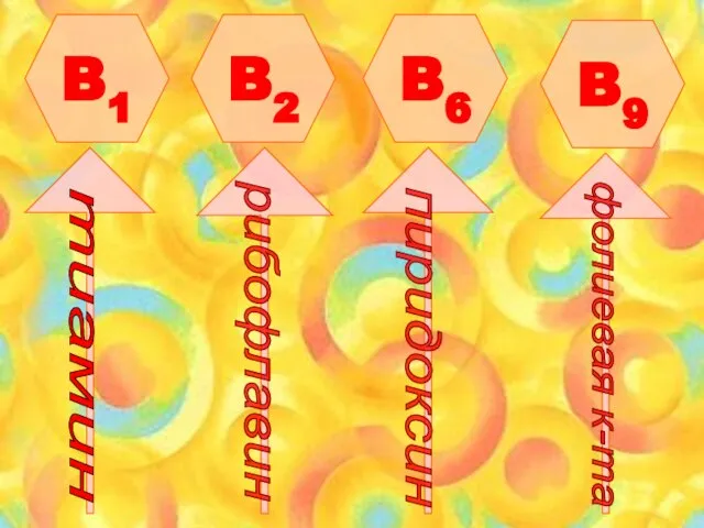 B1 B2 B6 B9 тиамин рибофлавин пиридоксин фолиевая к-та