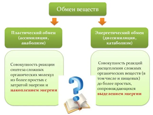 Обмен веществ Энергетический обмен (диссимиляция, катаболизм) Пластический обмен (ассимиляция, анаболизм) Совокупность