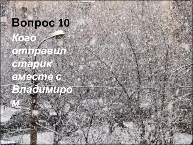 Вопрос 10 Кого отправил старик вместе с Владимиром