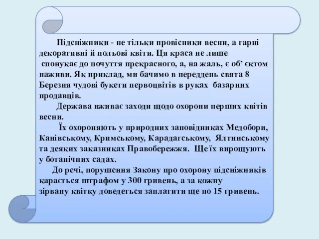 Підсніжники - не тільки провісники весни, а гарні декоративні й польові