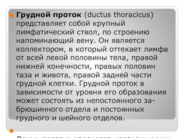 Грудной проток (ductus thoracicus) представляет собой крупный лимфатический ствол, по строению