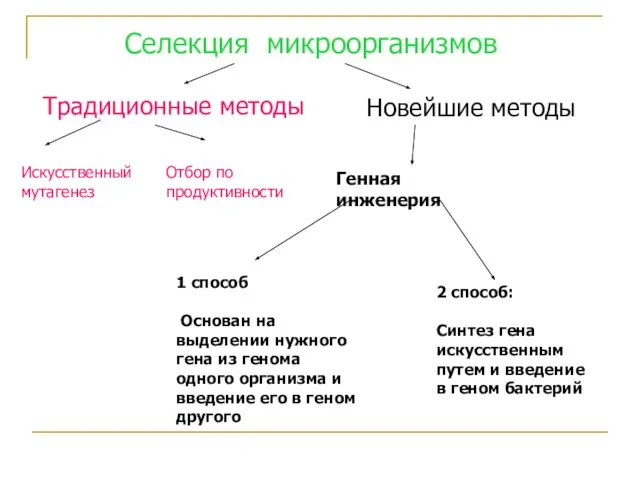 Селекция микроорганизмов Традиционные методы Новейшие методы Искусственный мутагенез Отбор по продуктивности