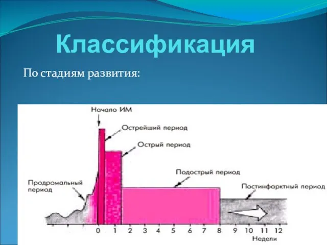 Классификация По стадиям развития: