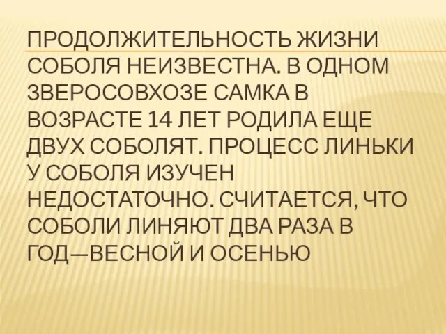 ПРОДОЛЖИТЕЛЬНОСТЬ ЖИЗНИ СОБОЛЯ НЕИЗВЕСТНА. В ОДНОМ ЗВЕРОСОВХОЗЕ САМКА В ВОЗРАСТЕ 14