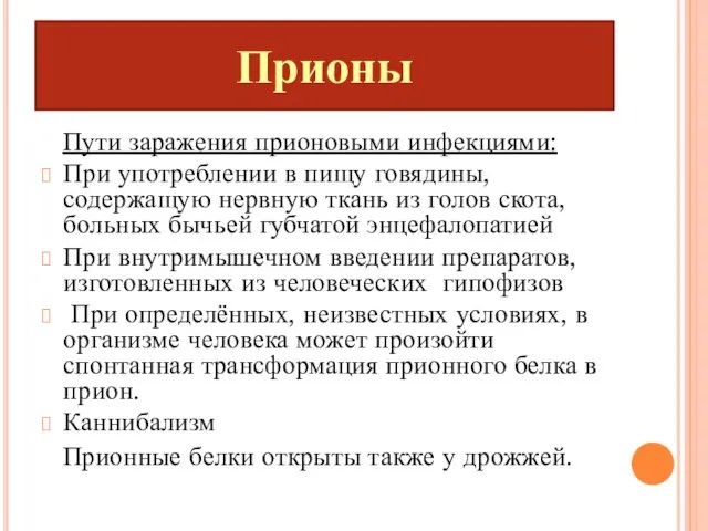 Прионы Пути заражения прионовыми инфекциями: При употреблении в пищу говядины, содержащую