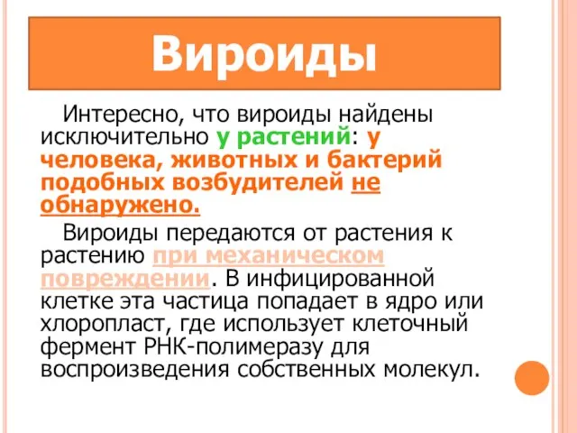 Вироиды Интересно, что вироиды найдены исключительно у растений: у человека, животных