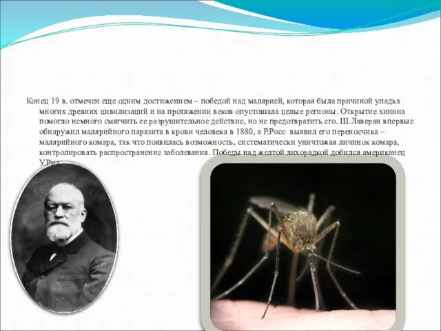 Конец 19 в. отмечен еще одним достижением – победой над малярией,