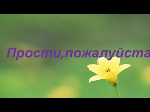 Прости,пожалуйста!