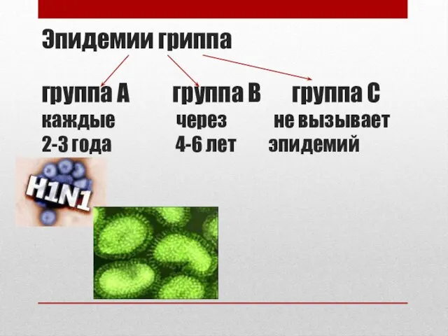 Эпидемии гриппа группа А группа В группа С каждые через не