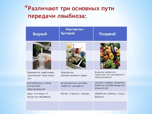 Различают три основных пути передачи лямбиоза: