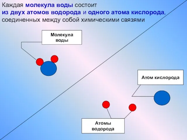 Атом кислорода Атомы водорода Молекула воды Каждая молекула воды состоит из