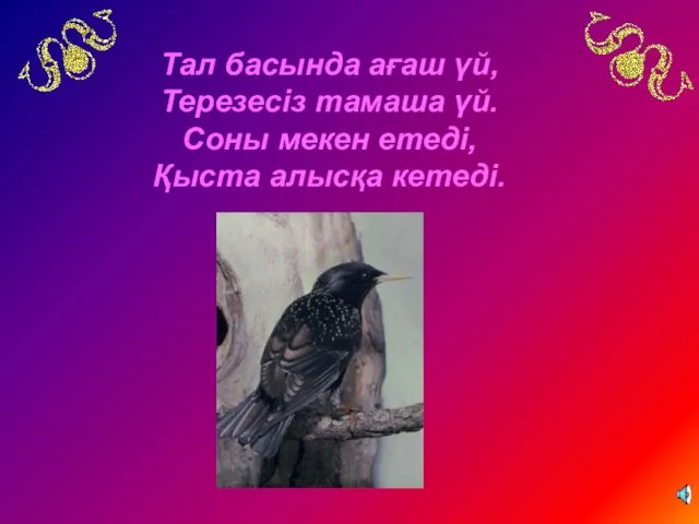 Тал басында ағаш үй, Терезесіз тамаша үй. Соны мекен етеді, Қыста алысқа кетеді.