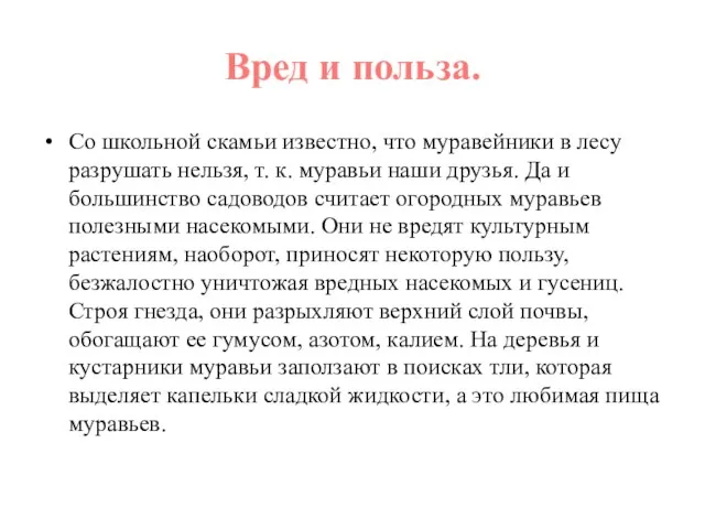 Вред и польза. Со школьной скамьи известно, что муравейники в лесу