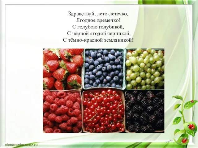 Здравствуй, лето-летечко, Ягодное времечко! С голубою голубикой, С чёрной ягодой черникой, С тёмно-красной земляникой!