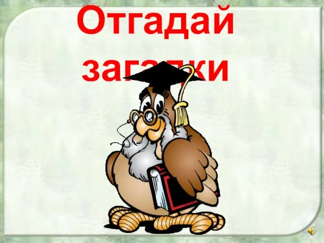 Отгадай загадки