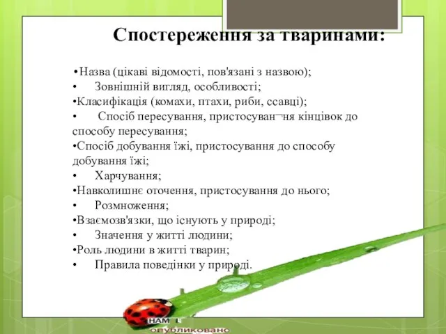 •Назва (цікаві відомості, пов'язані з назвою); • Зовнішній вигляд, особливості; •Класифікація