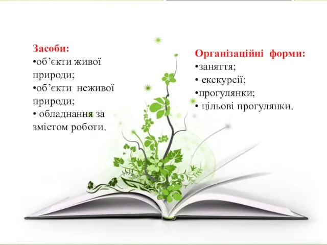 Організаційні форми: •заняття; • екскурсії; •прогулянки; • цільові прогулянки. Засоби: •об’єкти