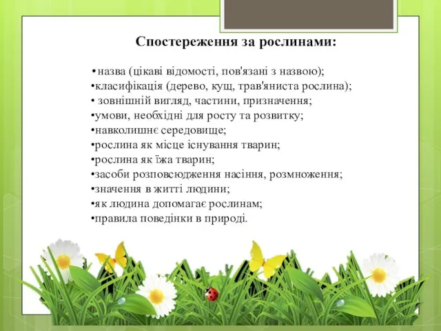 •назва (цікаві відомості, пов'язані з назвою); •класифікація (дерево, кущ, трав'яниста рослина);