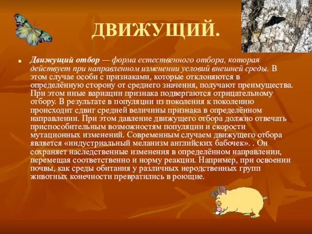 ДВИЖУЩИЙ. Движущий отбор — форма естественного отбора, которая действует при направленном