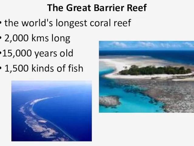 The Great Barrier Reef the world's longest coral reef 2,000 kms