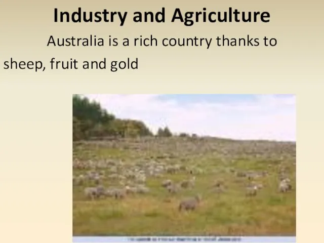 Industry and Agriculture Australia is a rich country thanks to sheep, fruit and gold