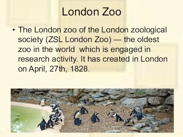 London Zoo The London zoo of the London zoological society (ZSL