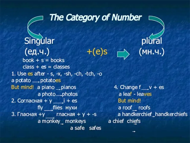 The Category of Number Singular plural (ед.ч.) +(e)s (мн.ч.) book +
