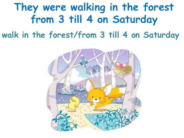 walk in the forest/from 3 till 4 on Saturday They were