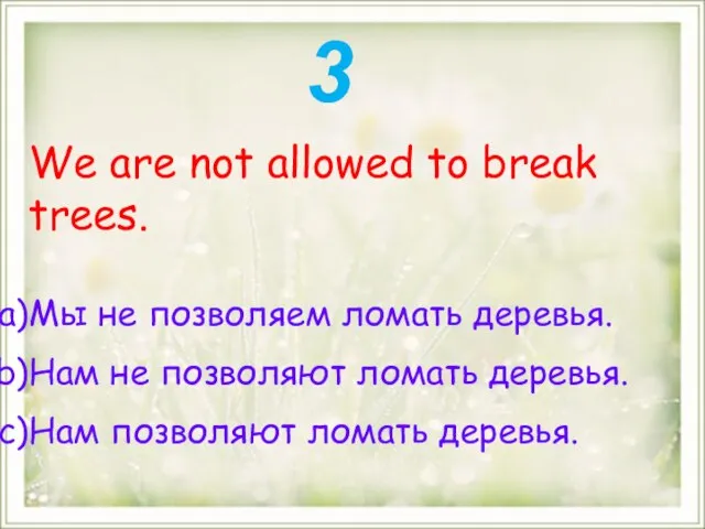 We are not allowed to break trees. Мы не позволяем ломать