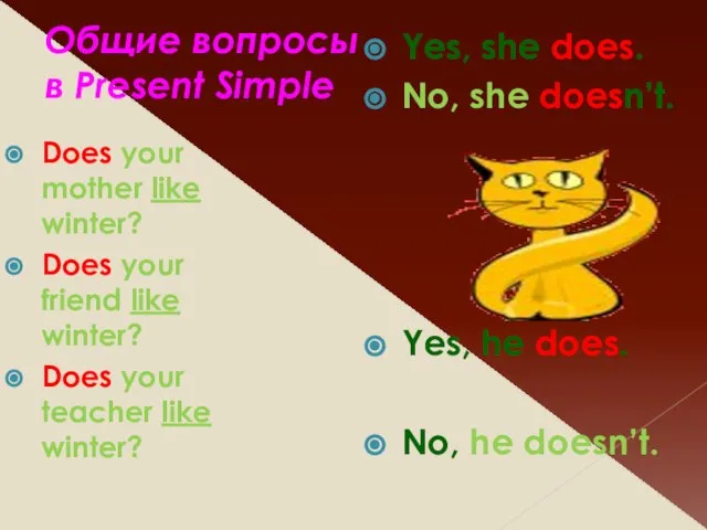 Общие вопросы в Present Simple Does your mother like winter? Does