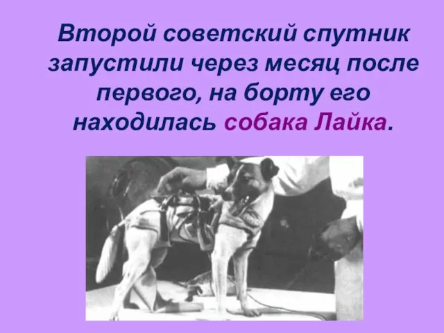 Второй советский спутник запустили через месяц после первого, на борту его находилась собака Лайка.