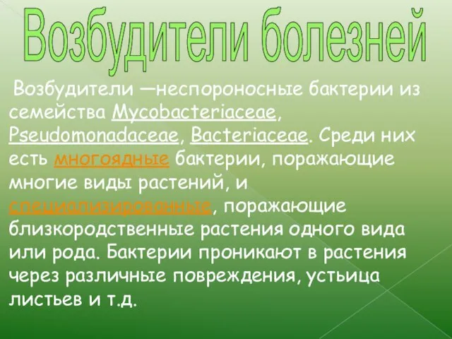 Возбудители —неспороносные бактерии из семейства Mycobacteriaceae, Pseudomonadaceae, Bacteriaceae. Среди них есть