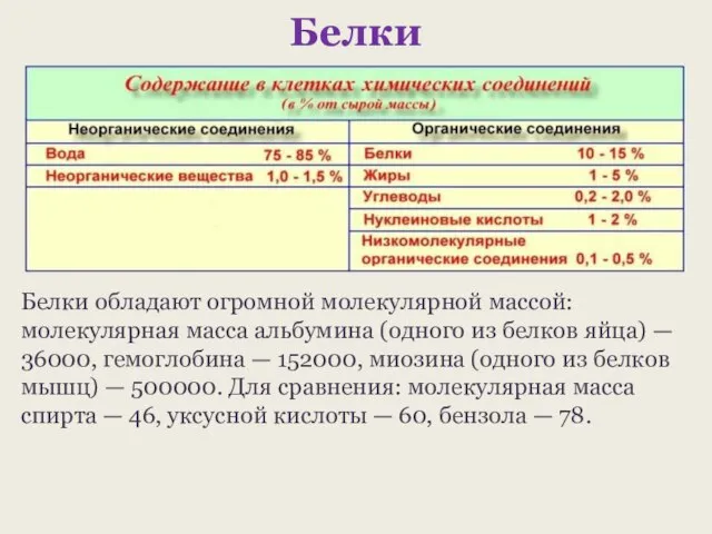 Белки Белки обладают огромной молекулярной массой: молекулярная масса альбумина (одного из