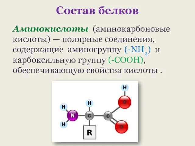 Состав белков Аминокислоты (аминокарбоновые кислоты) — полярные соединения, содержащие аминогруппу (-NH2)