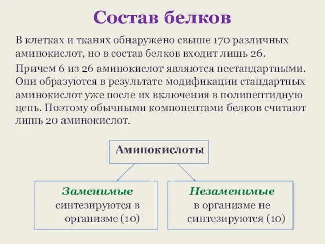 Состав белков В клетках и тканях обнаружено свыше 170 различных аминокислот,