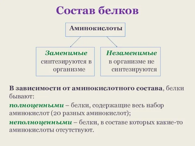 Состав белков В зависимости от аминокислотного состава, белки бывают: полноценными –