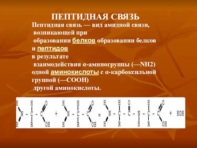 ПЕПТИДНАЯ СВЯЗЬ Пептидная связь — вид амидной связи, возникающей при образовании