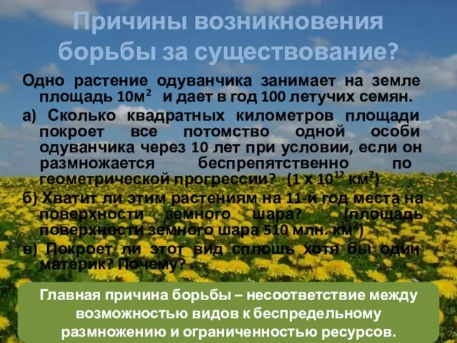 Причины возникновения борьбы за существование? Одно растение одуванчика занимает на земле