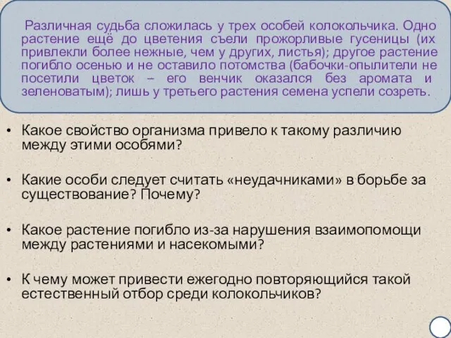 Различная судьба сложилась у трех особей колокольчика. Одно растение ещё до