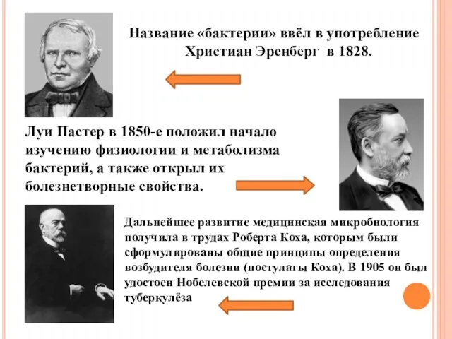 Название «бактерии» ввёл в употребление Христиан Эренберг в 1828. Луи Пастер