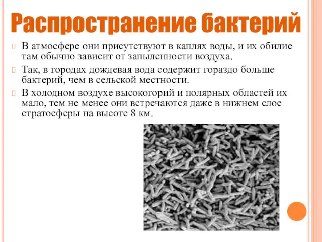 В атмосфере они присутствуют в каплях воды, и их обилие там