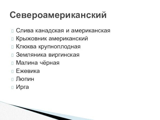 Слива канадская и американская Крыжовник американский Клюква крупноплодная Земляника виргинская Малина чёрная Ежевика Люпин Ирга Североамериканский