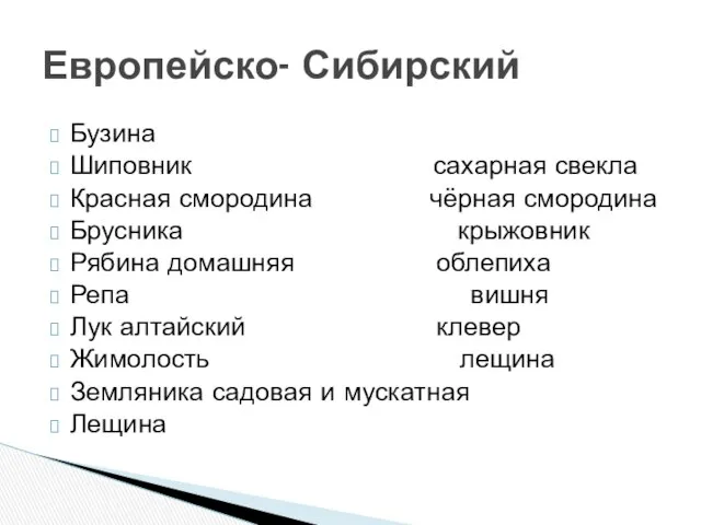 Бузина Шиповник сахарная свекла Красная смородина чёрная смородина Брусника крыжовник Рябина